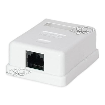 Розетка компьютерная RJ-45 (8p8c) категория 5е, 1 гнездо (+скотч, саморезы)